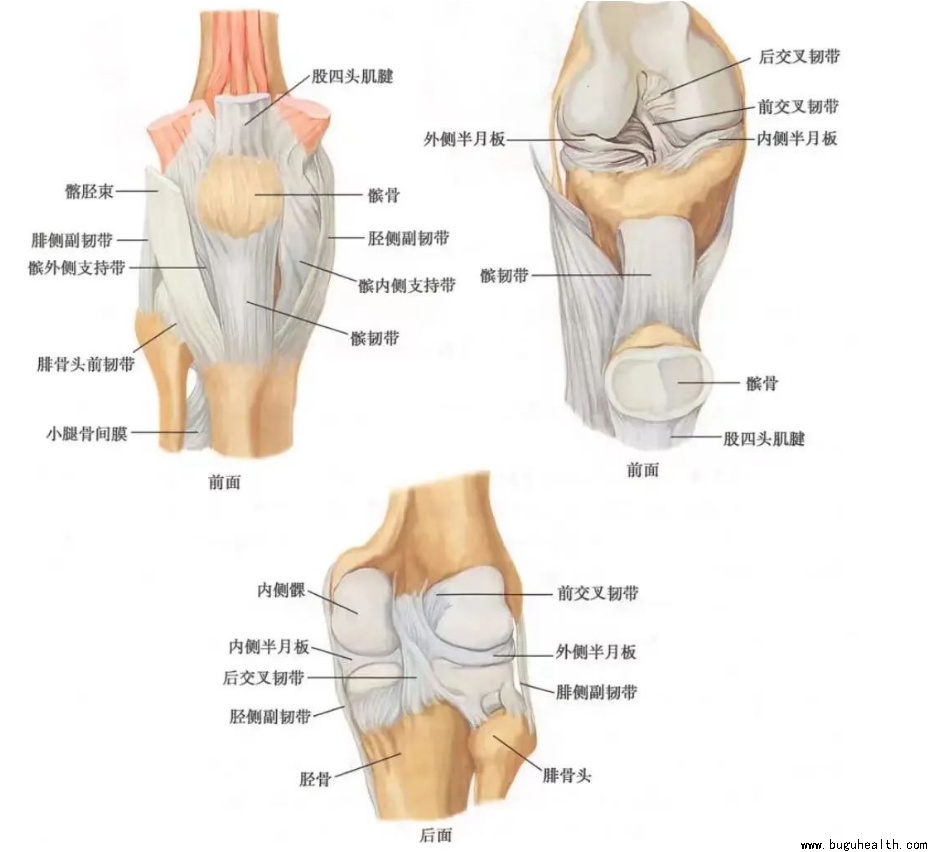 ����ҽѧ���ա����ǿ��������ǿ���